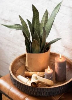 AMSCAN Soldes Magasin -AMSCAN Soldes Magasin bol bas manguier marron et noir anya d 42 cm 5400924110314 1337728