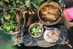 Bol Manguier Marron Noir Extra Large Donya D 30 Cm -AMSCAN Soldes Magasin bol manguier marron noir extra large donya d 30 cm 5400924110307 1337735