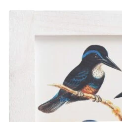 Cloison De Séparation 6 Panneaux Blanc 210x165 Cm Oiseaux -AMSCAN Soldes Magasin cloison de separation 6 panneaux blanc 210x165 cm oiseaux 3666722499248 627580