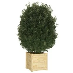 Jardinière 40x40x40 Cm Bois De Pin Massif -AMSCAN Soldes Magasin jardiniere 40x40x40 cm bois de pin massif 3666722147859 1269160