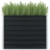 Jardinière Surélevée Anthracite 100x100x77 Cm Acier Galvanisé