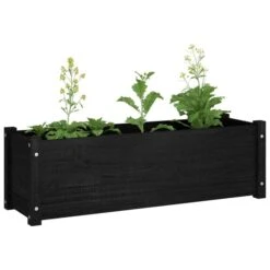 Jardinières 2 Pcs Noir 100x31x31 Cm Bois De Pin Massif -AMSCAN Soldes Magasin jardinieres 2 pcs noir 100x31x31 cm bois de pin massif 3666722747530 1421720