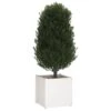 Jardinières D'extérieur 2 Pcs Blanc 60x60x60 Cm Bois De Pin
