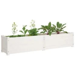 Lit Surélevé De Jardin Blanc 150x31x31 Cm Bois De Sapin Massif -AMSCAN Soldes Magasin lit sureleve de jardin blanc 150x31x31 cm bois de sapin massif 3666722151924 1259763
