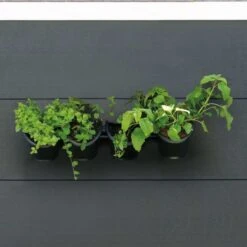 Nature Kit De Fleurs Et D'herbes/jardin Vertical -AMSCAN Soldes Magasin nature kit de fleurs et d herbes jardin vertical 3666722328555 975943