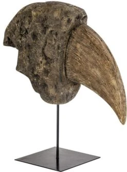 Sculpture Canine De Dinosaure Résine Marron Vieilli Colimeo