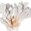 Sculpture Corail Résine Blanc Iluna
