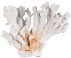Sculpture Corail Résine Blanc Iluna
