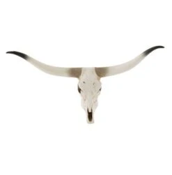 Sculpture Crâne Résine Blanche Et Noire Bialli 50 Cm