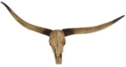 Sculpture Résine Ivoire Verni Toro